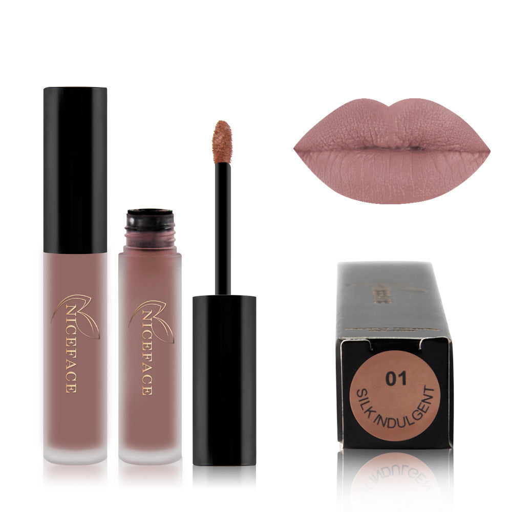 Matte lip gloss