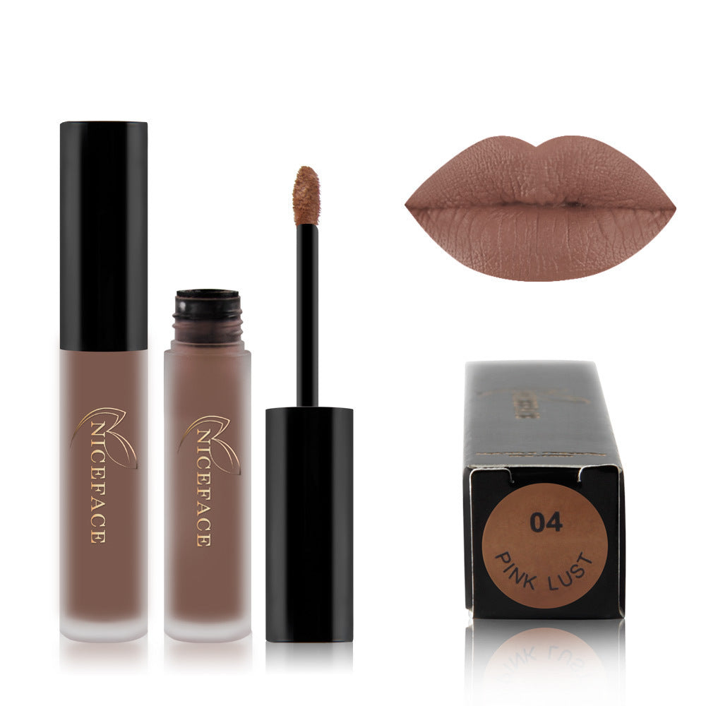 Matte lip gloss
