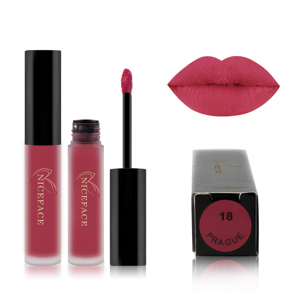 Matte lip gloss