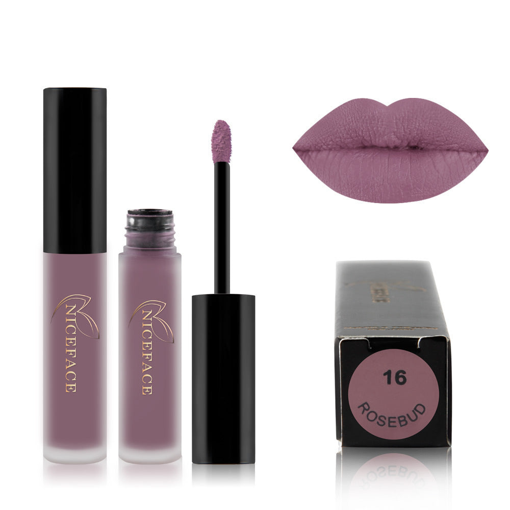 Matte lip gloss